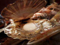 Photographie culinaire d'aliments bruts pour site internet de restaurant parisien